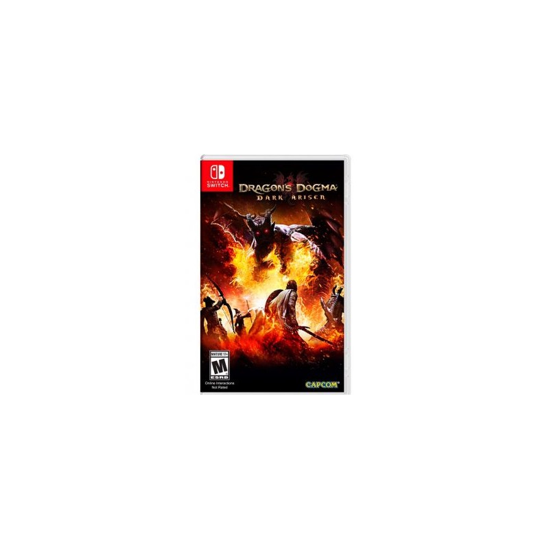 DRAGONS DOGMA SWITCH